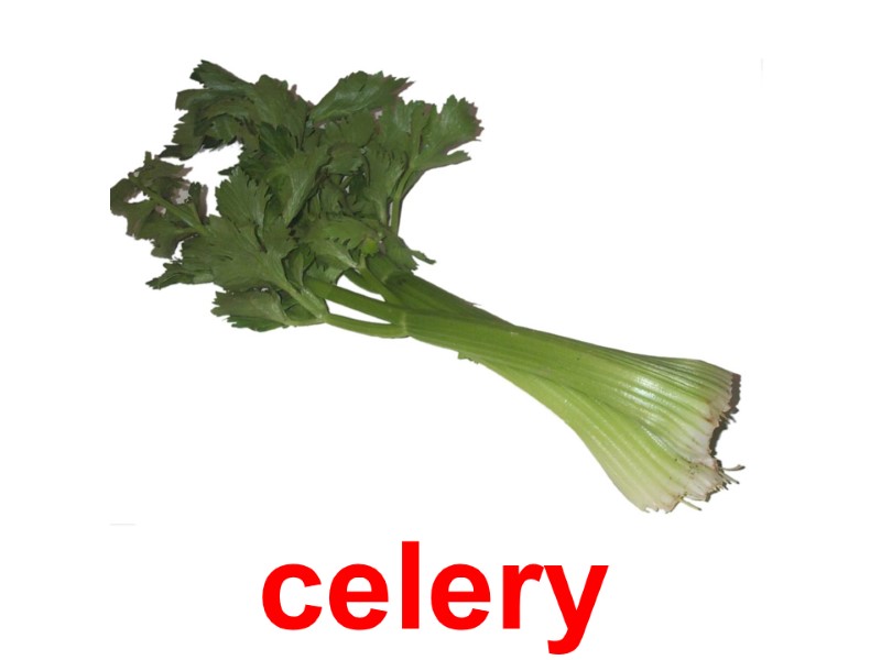 celery